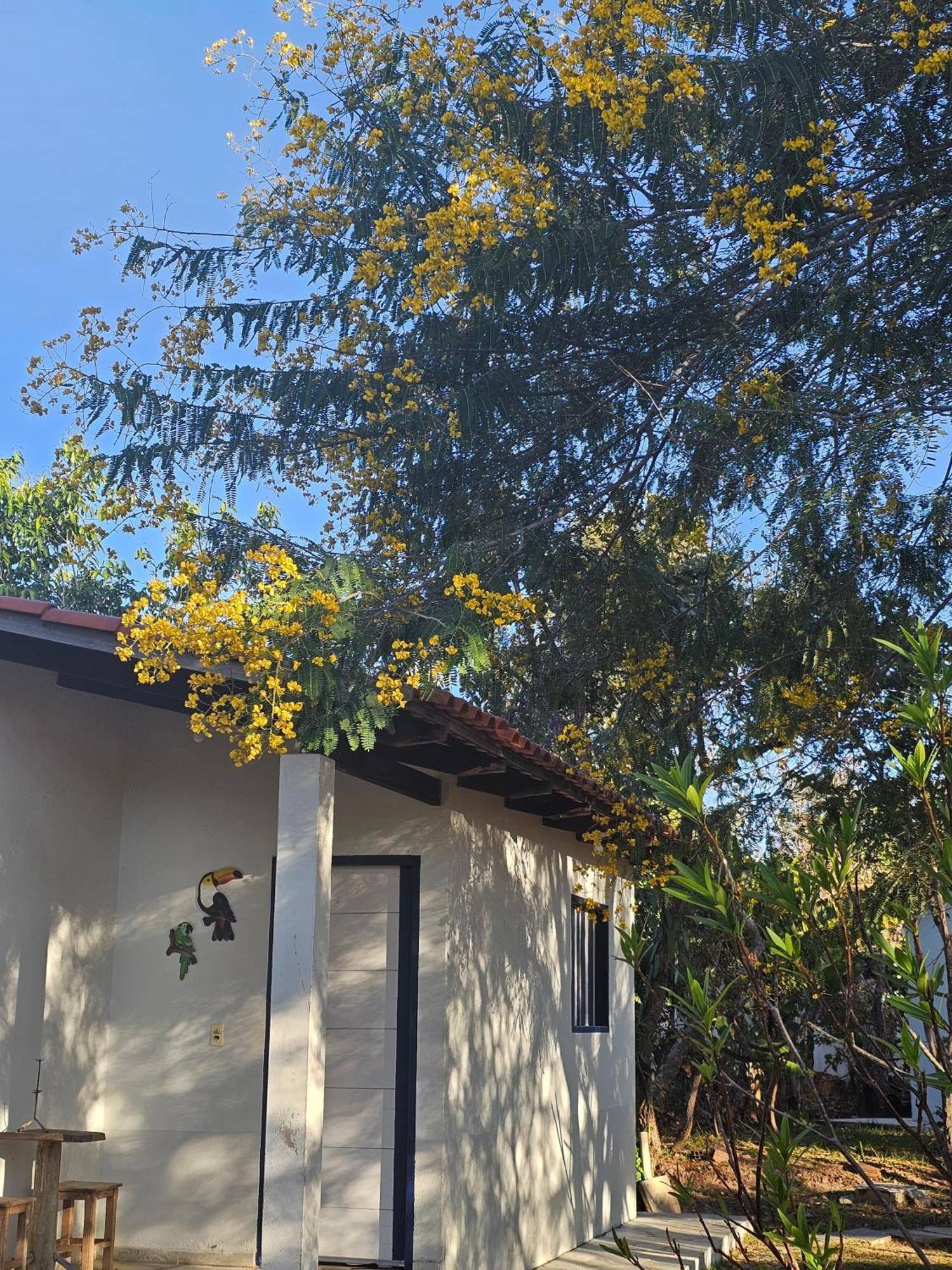 Estancia Morro Do Frota Pirenópolis المظهر الخارجي الصورة